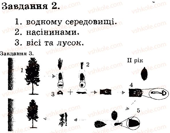 фото задание в2 - голонасінні - тема 4. різноманітність рослин