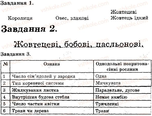 фото задание в1 - покритонасінні - тема 4. різноманітність рослин