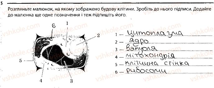 фото задание 5 - будова клітини - тема 1. клітина