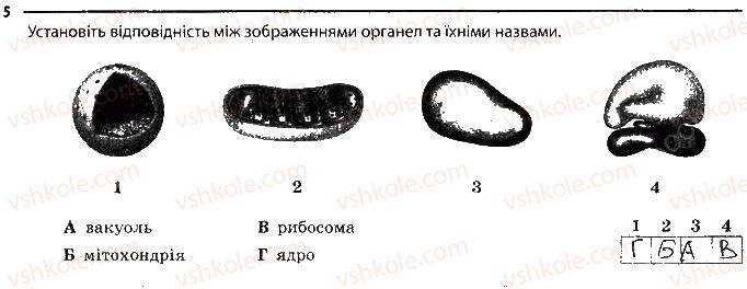 фото задание 5 - органели клітини - тема 1. клітина