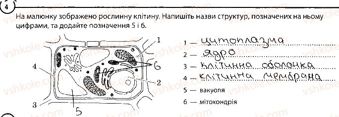 фото задание 4 - варіант 1 - повторення теми «клітина» - тема 1. клітина