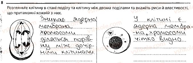 фото задание 8 - утворення нових клітин. ріст клітин - тема 1. клітина
