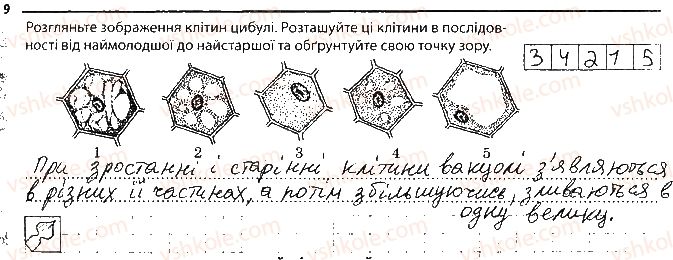 фото задание 9 - утворення нових клітин. ріст клітин - тема 1. клітина