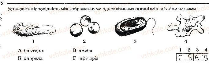 фото задание 5 - бактерії - тема 2. одноклітинні організми