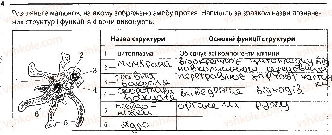 фото задание 4 - одноклітинні твариноподібні організми - тема 2. одноклітинні організми