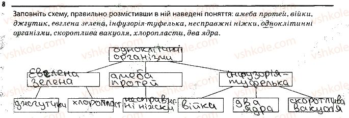 фото задание 8 - одноклітинні твариноподібні організми - тема 2. одноклітинні організми