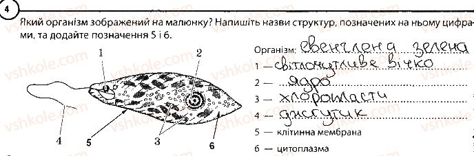 фото задание 4 - варіант 1 - повторення теми «одноклітинні організми» - тема 2. одноклітинні організми