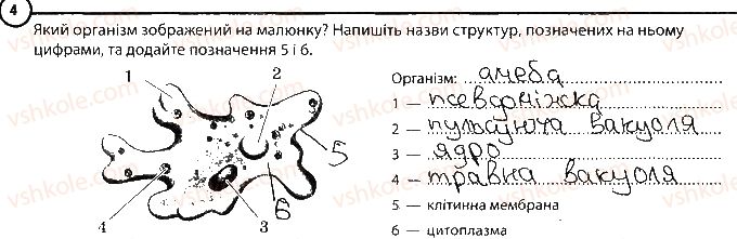 фото задание 4 - варіант 2 - повторення теми «одноклітинні організми» - тема 2. одноклітинні організми