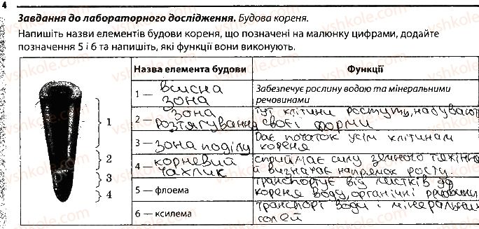 фото задание 4 - будова кореня. різноманітність коренів. видозміни кореня - тема 3. рослини
