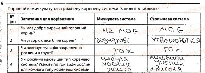 фото задание 6 - будова кореня. різноманітність коренів. видозміни кореня - тема 3. рослини