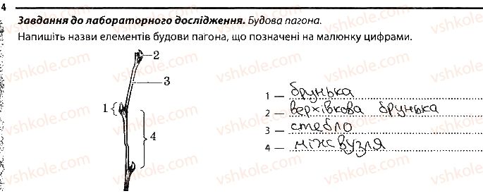 фото задание 4 - будова пагона - тема 3. рослини