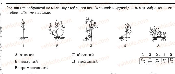 фото задание 5 - будова пагона - тема 3. рослини