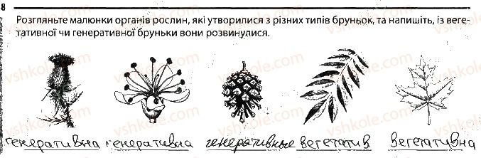 фото задание 8 - будова пагона - тема 3. рослини