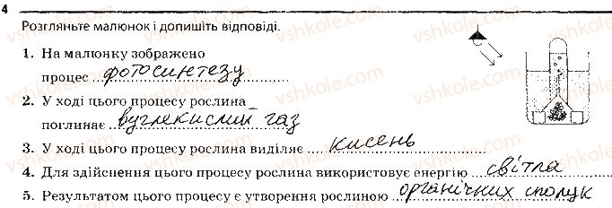 фото задание 4 - фотосинтез, дихання та живлення рослин - тема 3. рослини