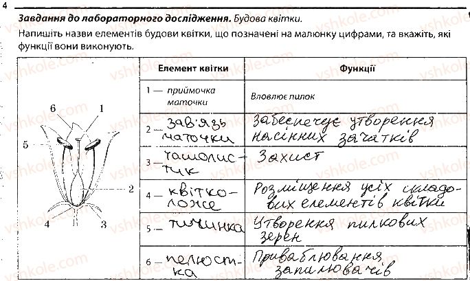 фото задание 4 - квітки і суцвіття - тема 3. рослини