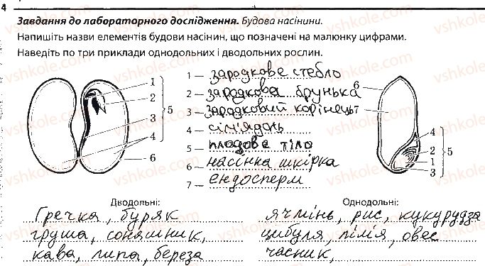 фото задание 4 - насінини і плоди - тема 3. рослини