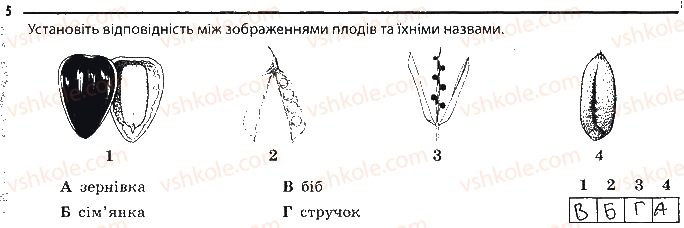 фото задание 5 - насінини і плоди - тема 3. рослини