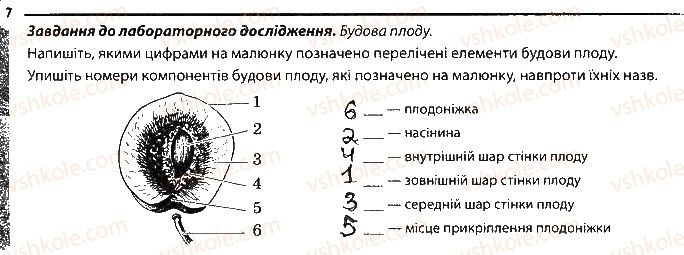 фото задание 7 - насінини і плоди - тема 3. рослини