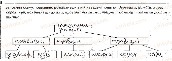фото задание 8 - особливості будови рослин - тема 3. рослини