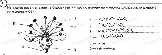 фото задание 4 - варіант 1 - повторення теми «рослини» - тема 3. рослини