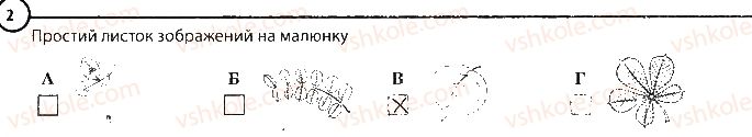 фото задание 2 - варіант 2 - повторення теми «рослини» - тема 3. рослини