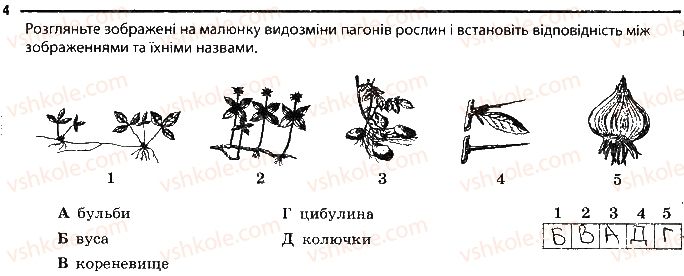 фото задание 4 - різноманітність та видозміни пагонів і листків - тема 3. рослини