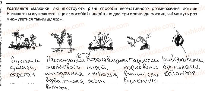 фото задание 7 - розмноження рослин вегетативне розмноження - тема 3. рослини