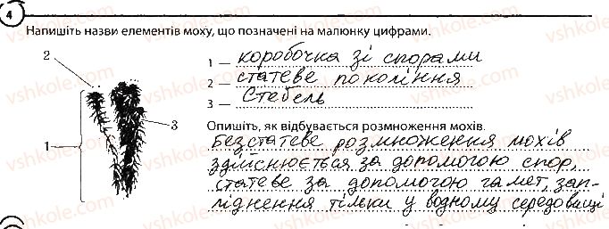 фото задание 4 - варіант 2 - повторення теми «різноманітність рослин» - тема 4. різноманітність рослин