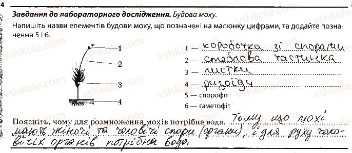 фото задание 4 - рослини, які розмножуються спорами - тема 4. різноманітність рослин