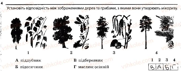 фото задание 4 - мікоризоутворюючі гриби та лишайники - тема 5. гриби