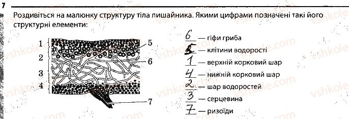 фото задание 7 - мікоризоутворюючі гриби та лишайники - тема 5. гриби