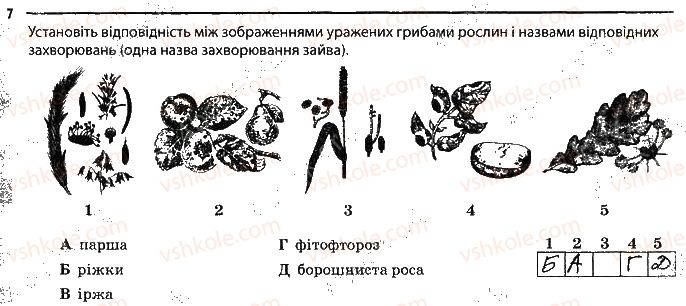 фото задание 7 - паразитичні гриби - тема 5. гриби