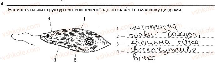 фото задание 4 - варіант 1 - підсумкове узагальнення знань - тема 5. гриби