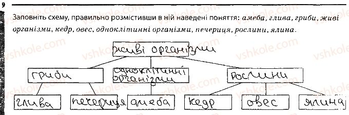 фото задание 9 - варіант 1 - підсумкове узагальнення знань - тема 5. гриби