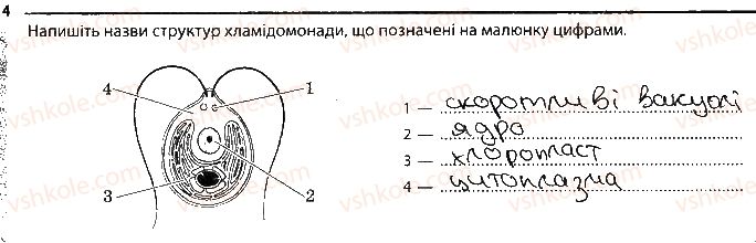 фото задание 4 - варіант 2 - підсумкове узагальнення знань - тема 5. гриби