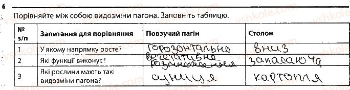 фото задание 6 - варіант 2 - підсумкове узагальнення знань - тема 5. гриби
