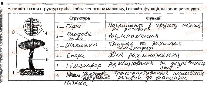 фото задание 8 - варіант 2 - підсумкове узагальнення знань - тема 5. гриби