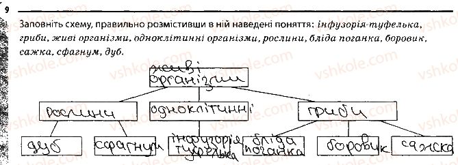 фото задание 9 - варіант 2 - підсумкове узагальнення знань - тема 5. гриби