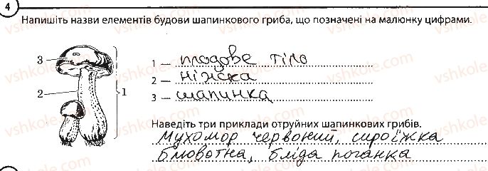 фото задание 4 - варіант 1 - повторення теми «гриби» - тема 5. гриби