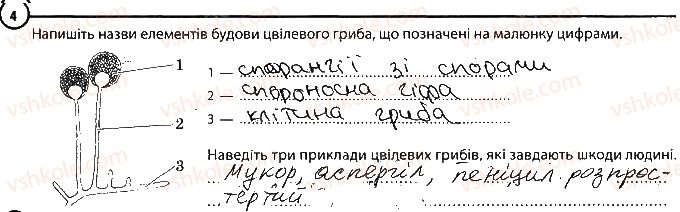 фото задание 4 - варіант 2 - повторення теми «гриби» - тема 5. гриби