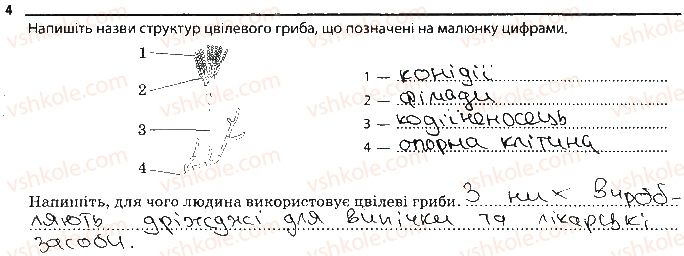 фото задание 4 - цвілеві гриби - тема 5. гриби