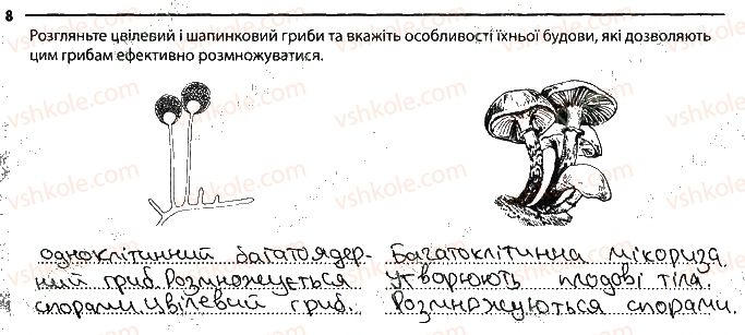 фото задание 8 - цвілеві гриби - тема 5. гриби