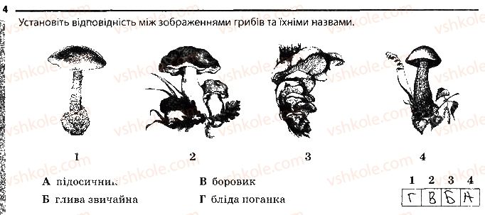 фото задание 4 - значення грибів - тема 5. гриби