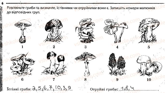 фото задание 6 - значення грибів - тема 5. гриби