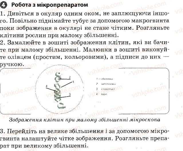 фото задание 4 - практична робота № 1 - вкладиш. зошит для практичних робіт