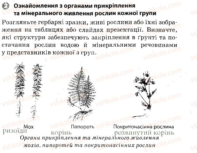 фото задание 2 - практична робота № 3 - вкладиш. зошит для практичних робіт