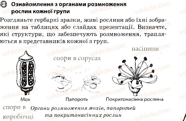 фото задание 3 - практична робота № 3 - вкладиш. зошит для практичних робіт
