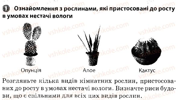 фото задание 1 - практична робота № 4 - вкладиш. зошит для практичних робіт