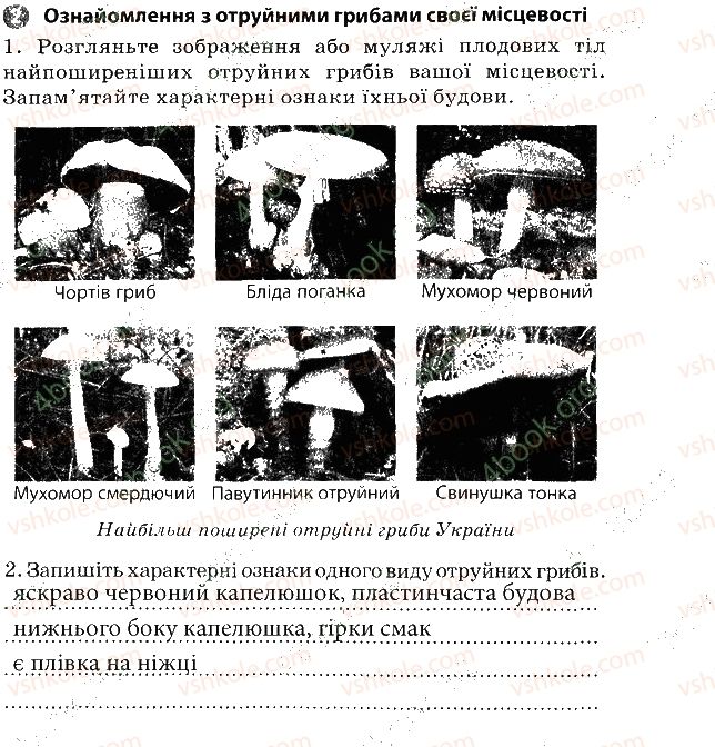 фото задание 2 - практична робота № 5 - вкладиш. зошит для практичних робіт