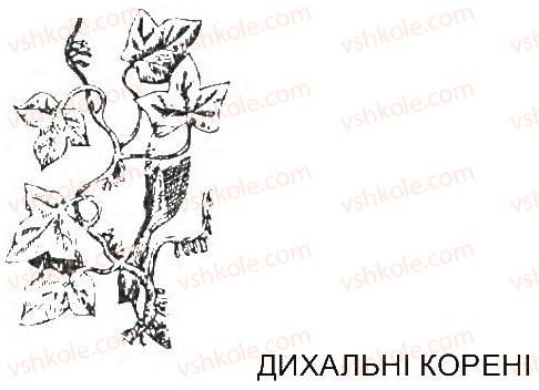 фото задание ст36 - сторінки 27-50